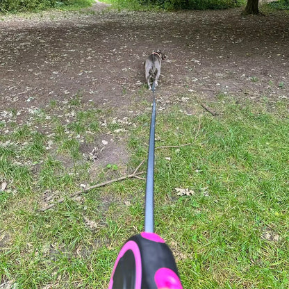 8m Large Dog Leash Retractable Pet Extendable