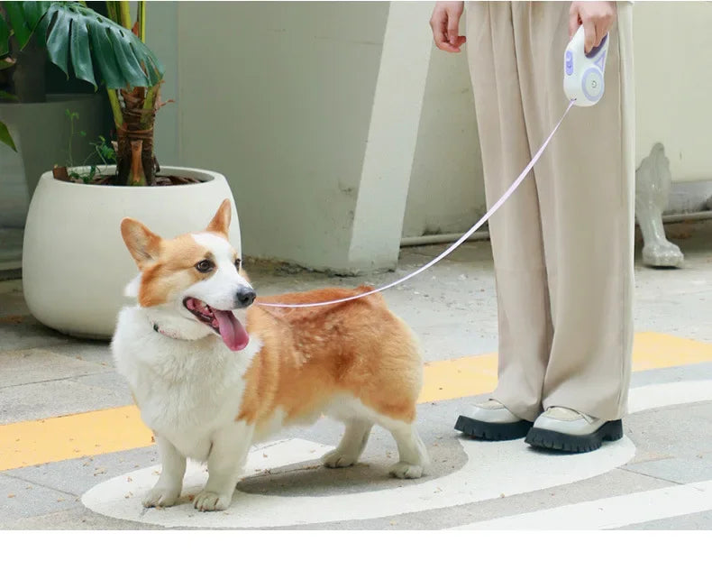 LED Retractable Dog Leash with light for Puppies