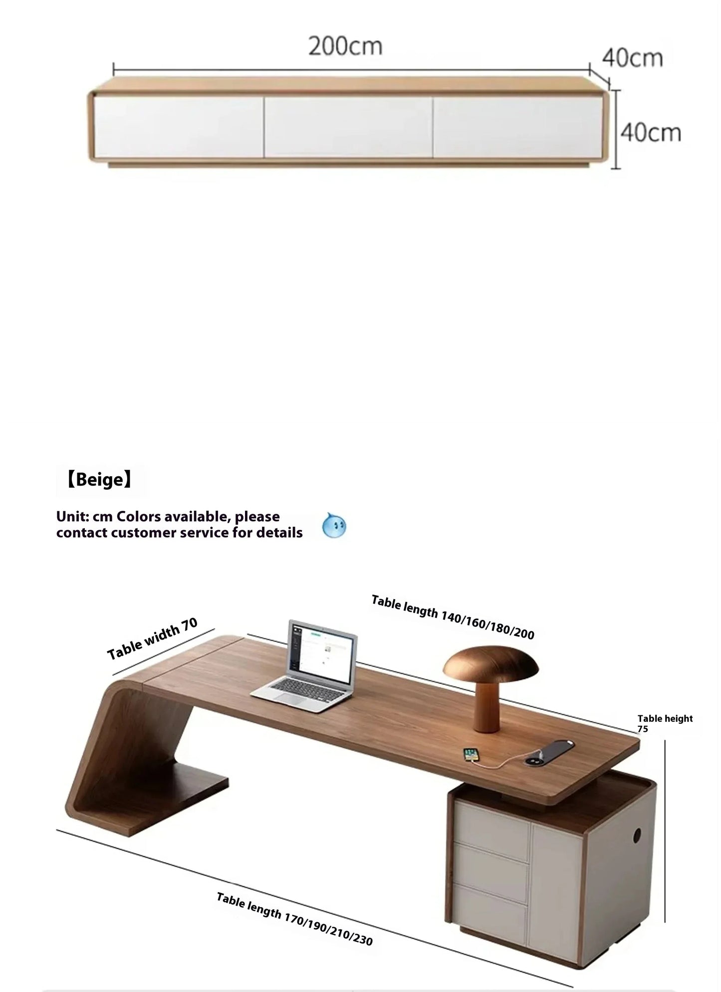 Premium Electric Standing Desk Executives